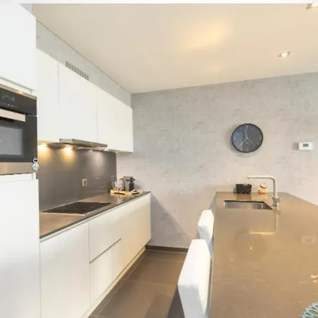 Luxe Met 2 Terrassen En 2 Slaapkamers En Gratis Fietsen Ostend